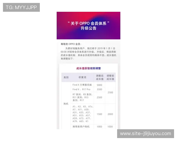 九游老哥俱乐部官网客服提供关于会员权益与积分兑换的详细说明